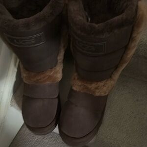 Ugg Chillapeake Brown Boots